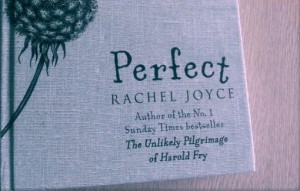 perfect rachel joyce plot